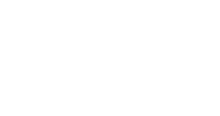 logo-bettina-steeg-white